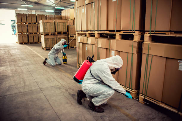 Best Rat Extermination Near Me  in Conyers, GA
