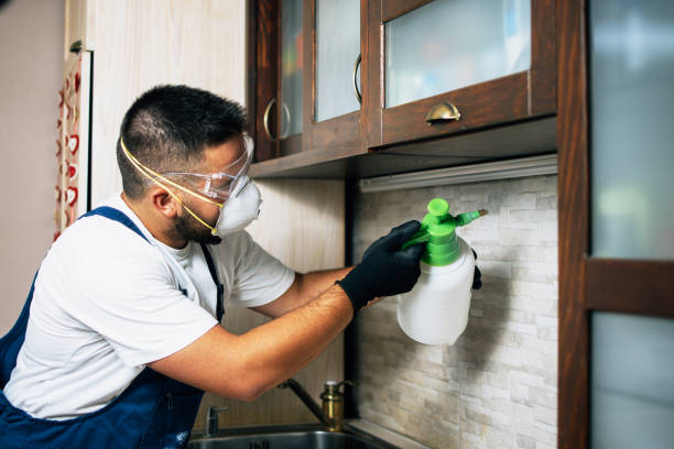 Best Wasp Removal Services  in Conyers, GA