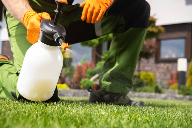 Best Flea Control Services  in Conyers, GA