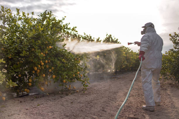 Professional Pest Control in Conyers, GA