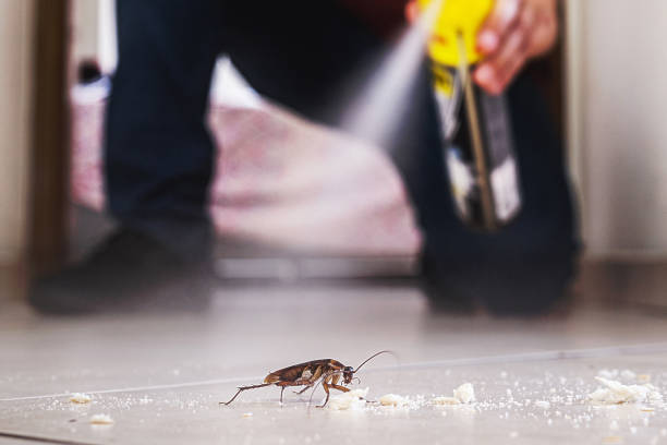Best Ant Control Services  in Conyers, GA